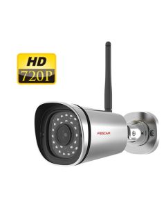 FI9800P - Outdoor IP Камера - Silver