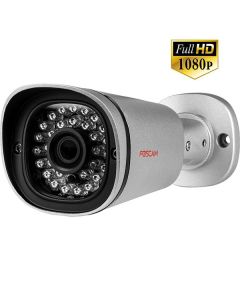 FI9900ЕP - Outdoor IP Камера - Silver
