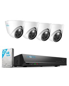 RLK8-1200D4-A PoE NVR & IPC Camera System Kit